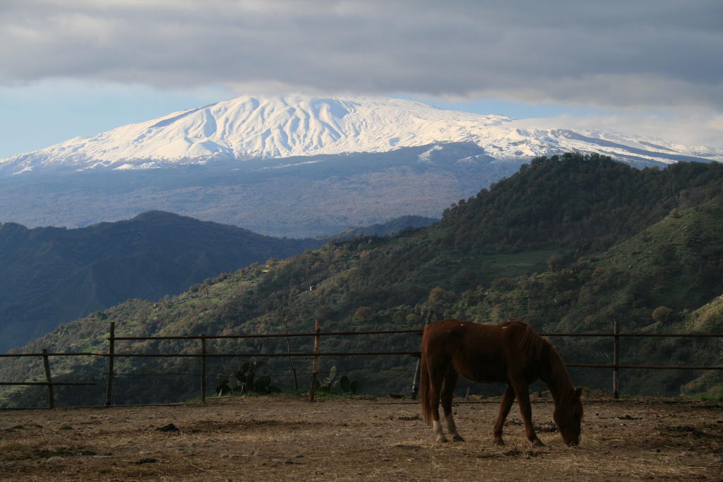 Agriturismo San Cataldo Motta Camastra Esterno foto